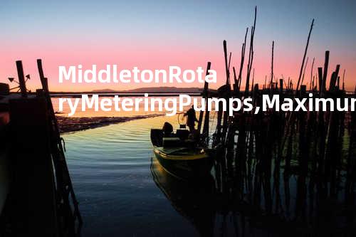 Middleton Rotary Metering Pumps, Maximum Security for Controlling Fluid Output